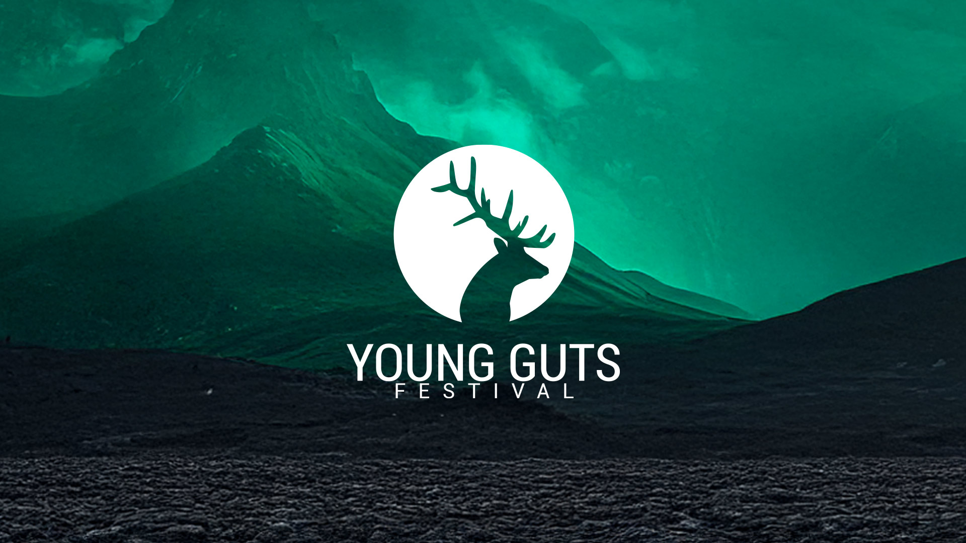 YOUNG GUTS REVIVAL FEST. (METAL)