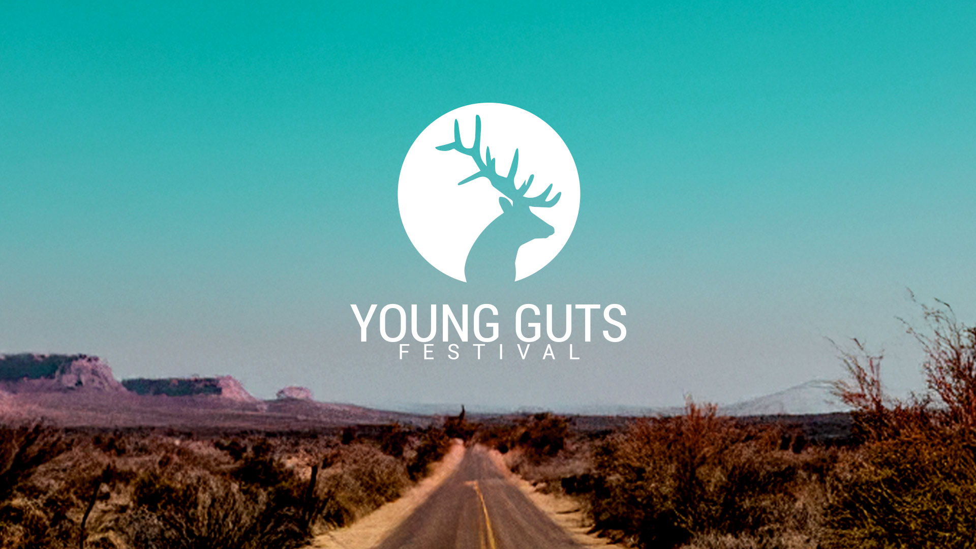 YOUNG GUTS REVIVAL FEST. (BLUES)